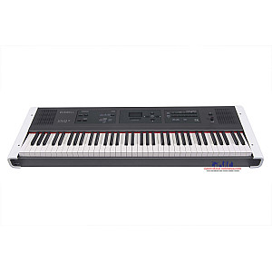 Dexibell VIVO P3 73 key Digital Piano